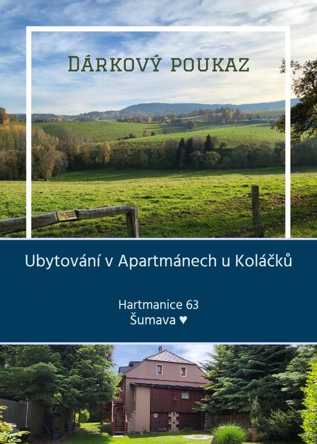 Apartmany U Kolacku Hartmanice  Eksteriør billede